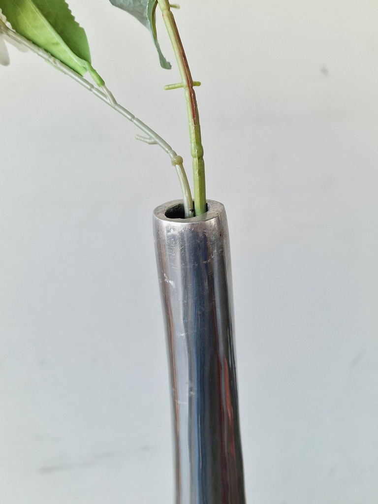 1000051610.jpg