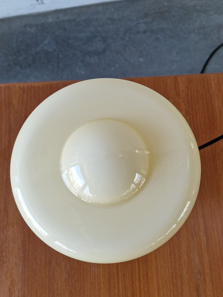 1000051594.jpg