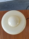 1000051594.jpg