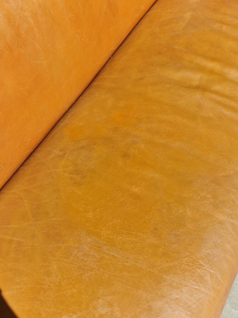 1000051779.jpg