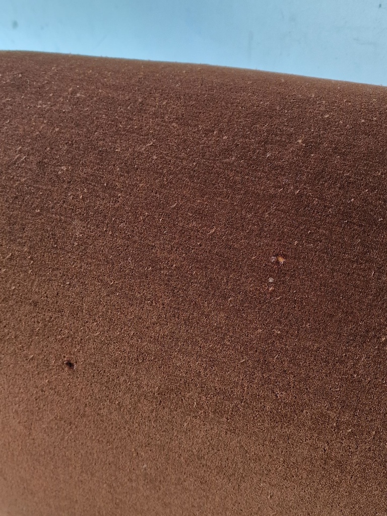1000052787.jpg