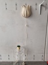 1000055115.jpg
