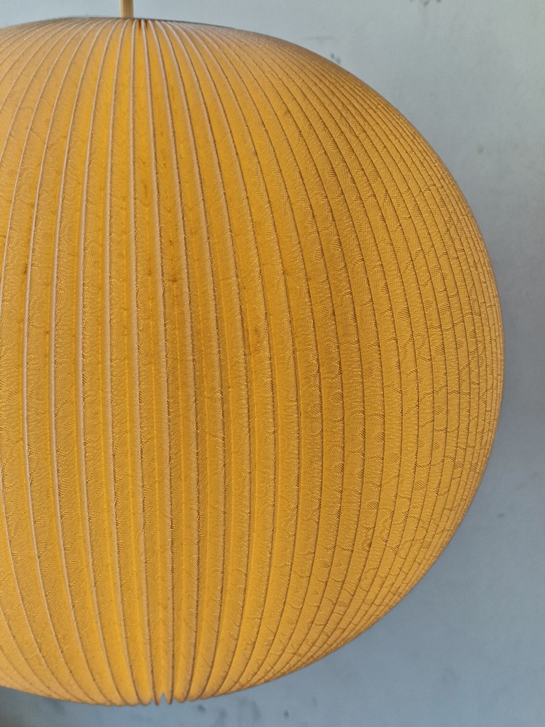1000055494.jpg