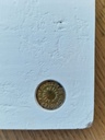 1000055487.jpg
