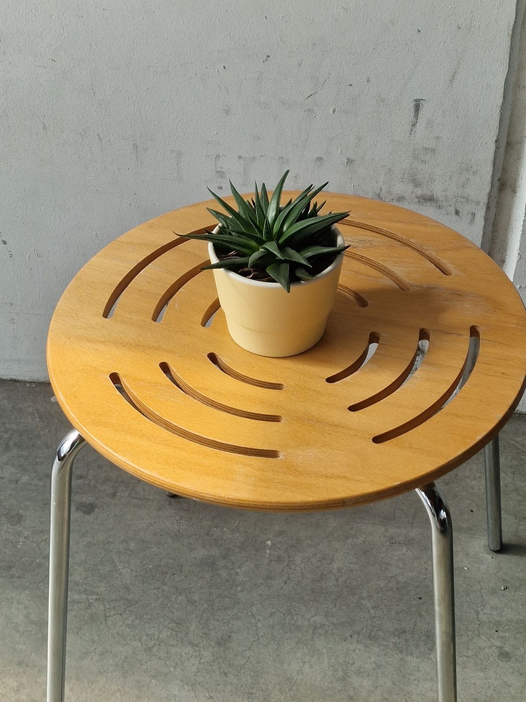 1000056151.jpg