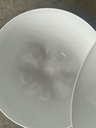 1000056177.jpg