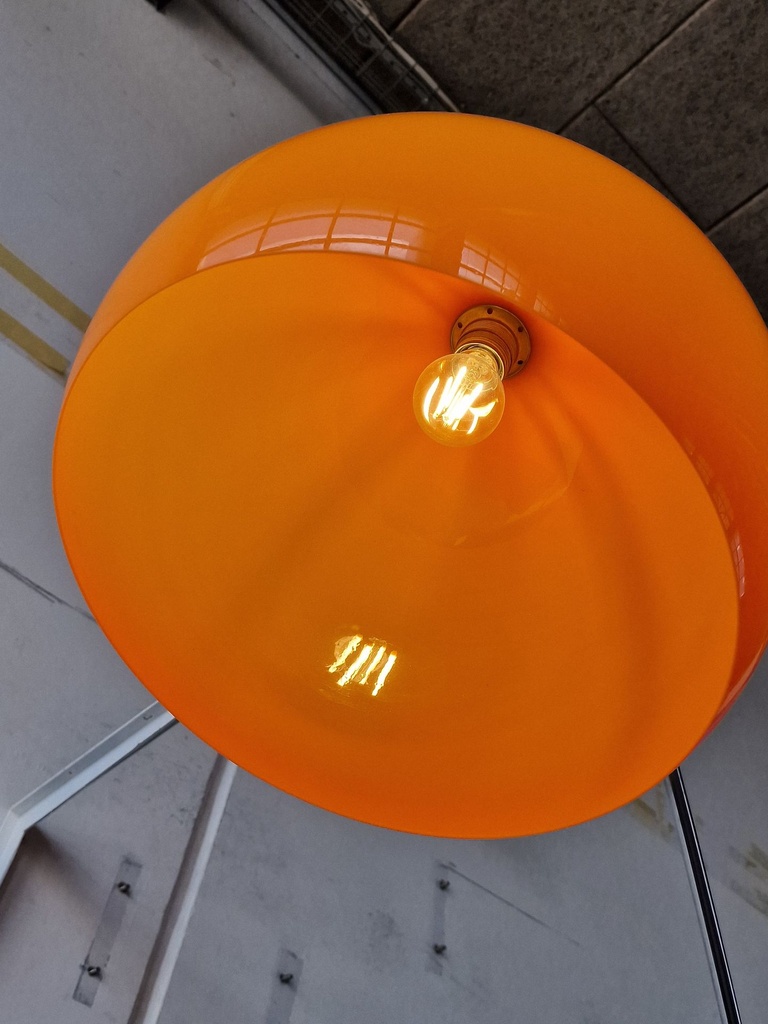 1000056665.jpg
