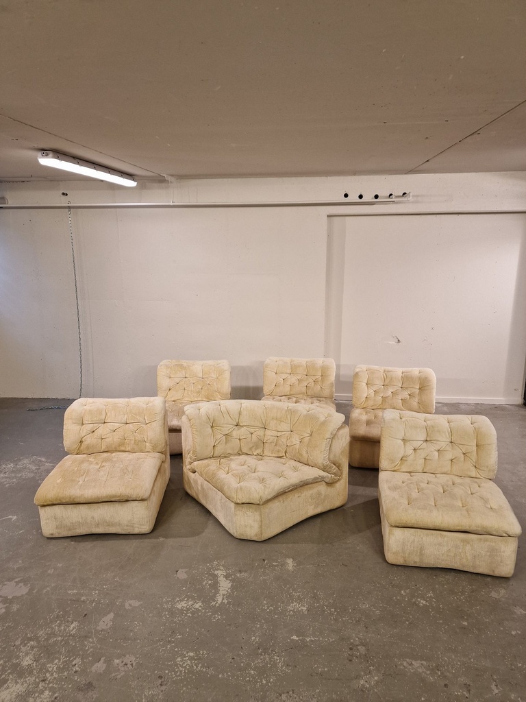 1000058113.jpg