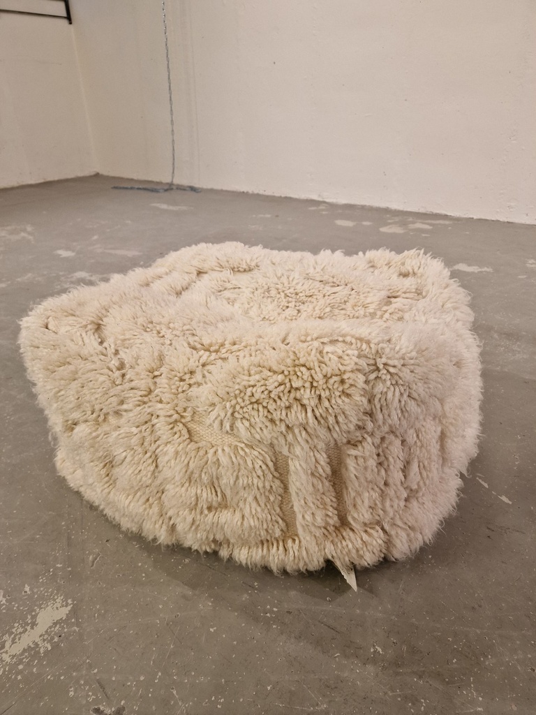 1000058120.jpg