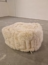 1000058120.jpg