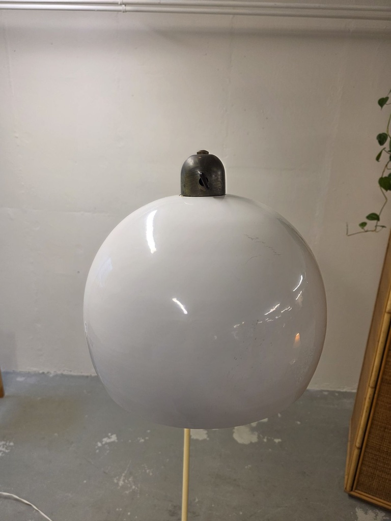 5876.jpg
