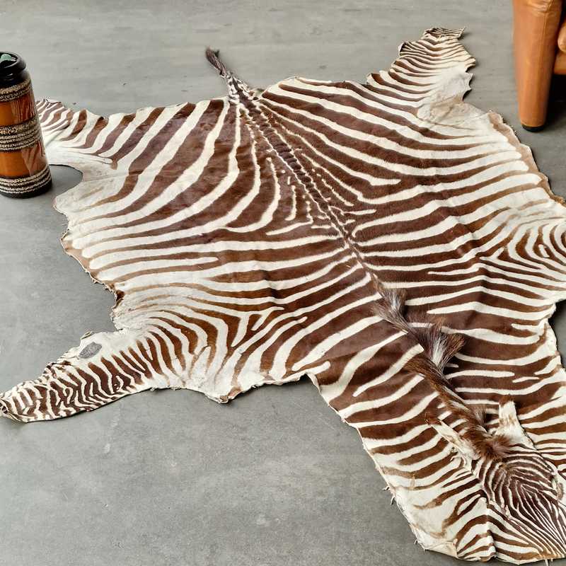 Zebraskind