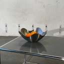 Skål Børstet Stål